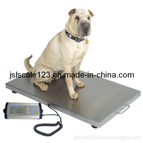 Pet Scale Animal Scale VS-A